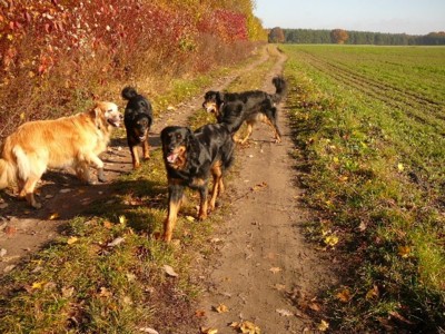 Spaziergang