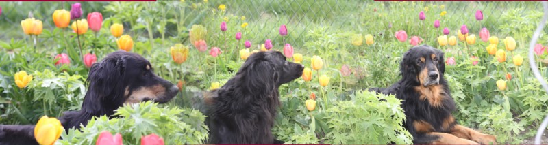 Frühling