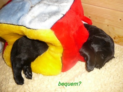 m&uuml;de