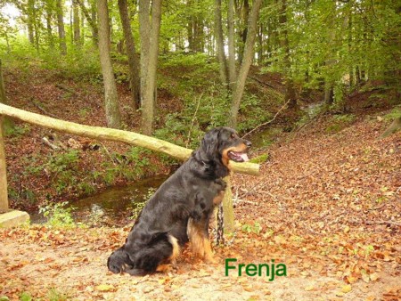 Frenja