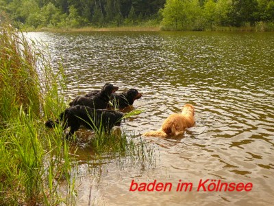 baden