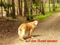kommt endlich