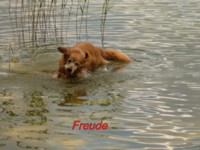 baden