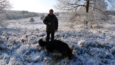 Rudi im Schnee