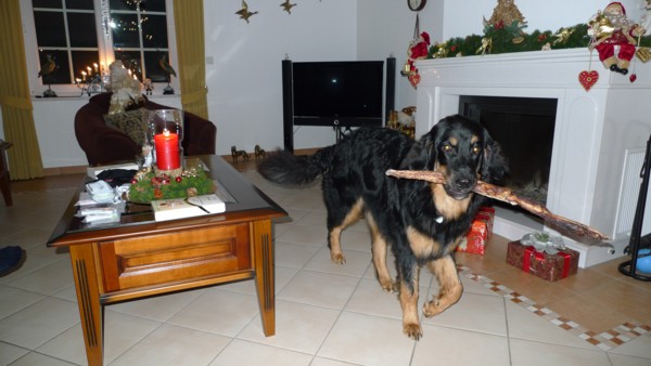 Djuk