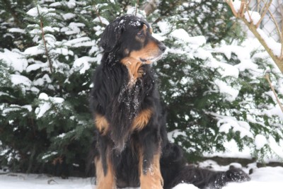 Winter